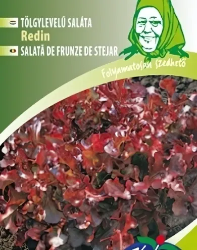 Redin - tölgylevelű saláta vetőmag
