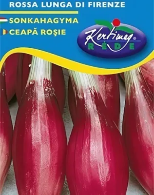 Sonkahagyma - lilahagyma vetőmag