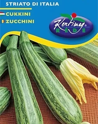Striato di Italia - cukkini vetőmag