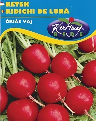 Óriás vaj - drazsírozott retek  vetőmag
