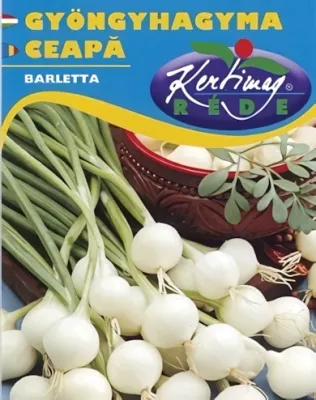 De Barletta- Gyöngyhagyma vetőmag