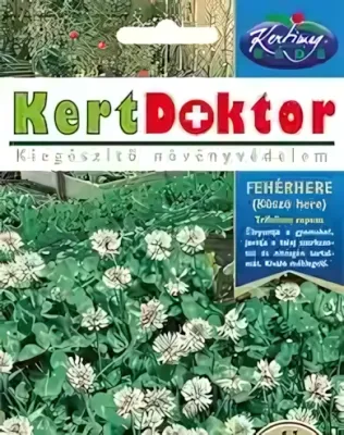 Fehér here - vetőmag