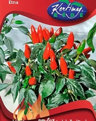 Etna chili - paprika vetőmag