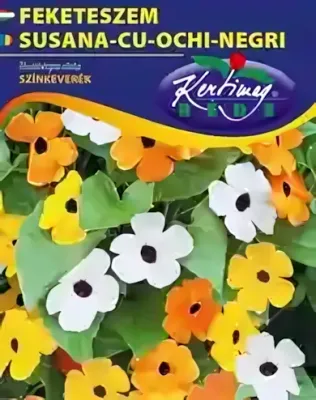 Feketeszem - színkeverék, virágmag