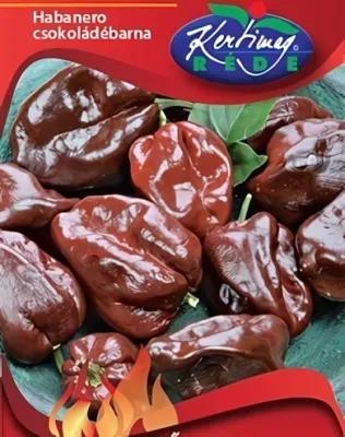 Habanero csokoládébarna chili - paprika vetőmag