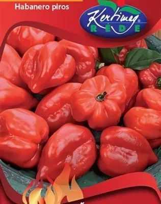 Habanero piros chili - paprika vetőmag