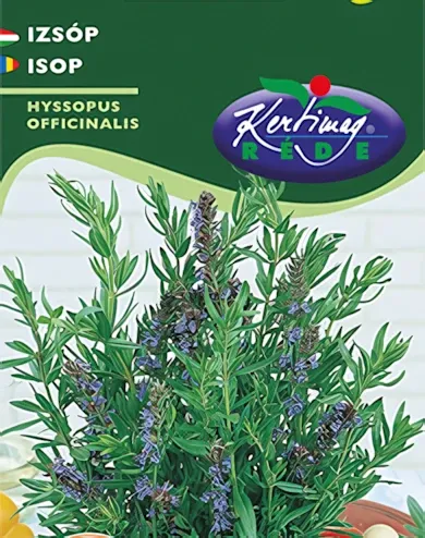 Izsóp- vetőmag