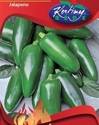 Jalapeno chili  - paprika vetőmag