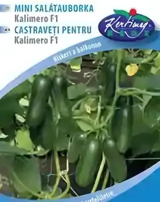 Kalimero F1 mini salátauborka vetőmag