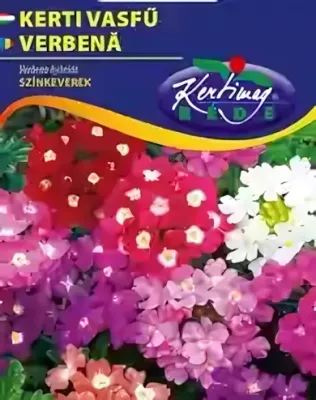 Kerti vasfű - színkeverék virágmag