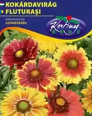 Kokárdavirág - színkeverék, virágmag