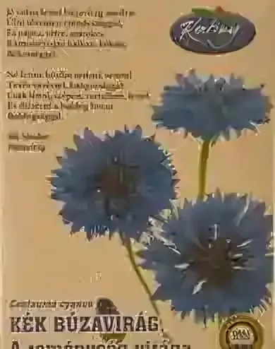 Kék búzavirág -  virágmag
