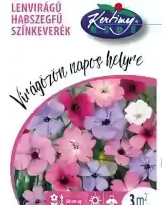 Lenvirágú Habszegfű - színkeverék virágmag