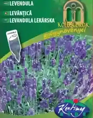 Levendula -  vetőmag