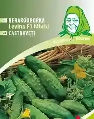 Levina F1 hibrid - berakóuborka vetőmag