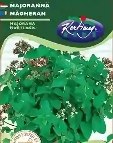 Majoranna- vetőmag
