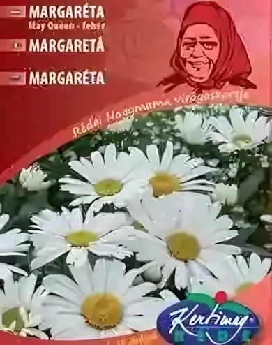 Margaréta - May Queen, fehér virágmag