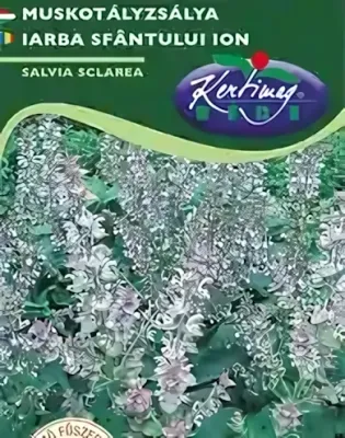 Muskotályzsálya - vetőmag