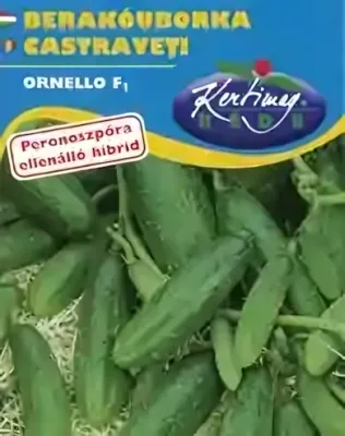 Ornello F1 hibrid- berakóuborka vetőmag