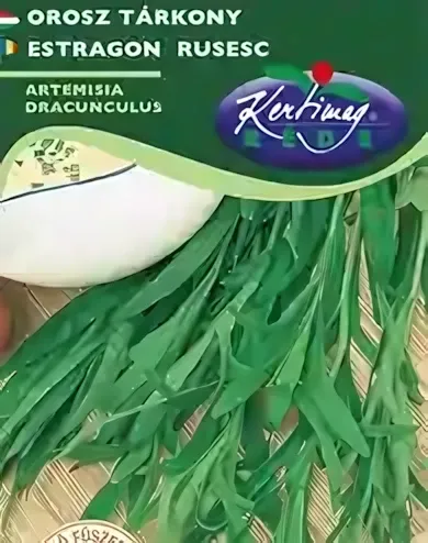 Orosz tárkony - vetőmag