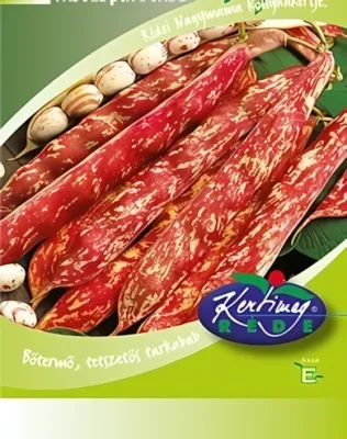 Rocco - szárazbab vetőmag