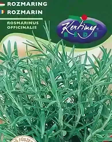 Rozmaring - vetőmag