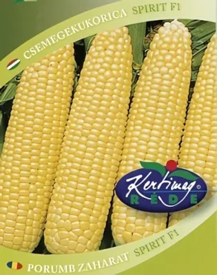 Spirit F1- csemegekukorica vetőmag