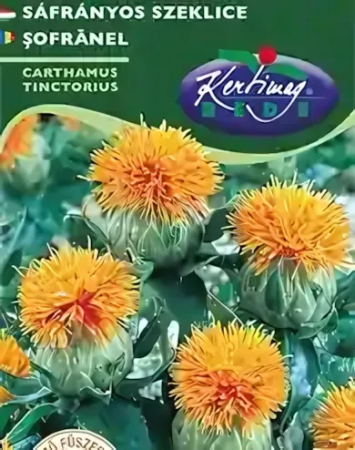 Sáfrányos szeklice- vetőmag