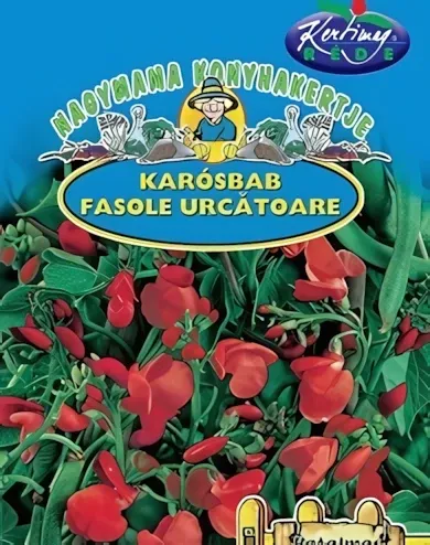 Tűzbab - vetőmag