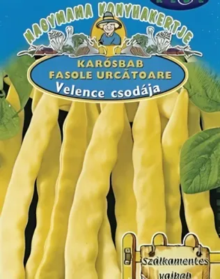 Velence csodája - karósbab vetőmag