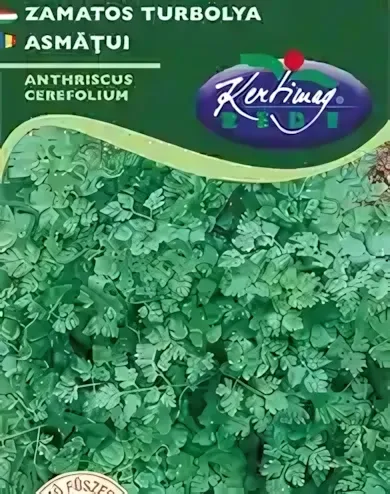 Zamatos turbolya - vetőmag