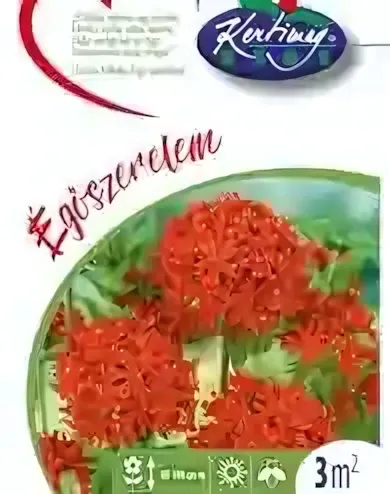 Égőszerelem - virágmag Égőszerelem - virágmag