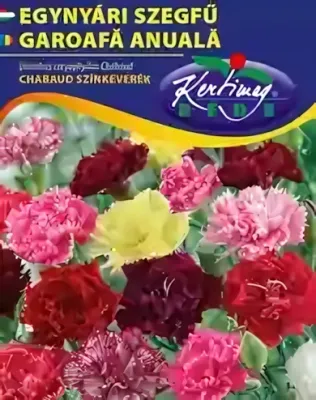Egynyári szegfű - színkeverék virágmag