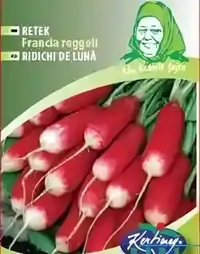 Francia reggeli - retek  vetőmag 5g