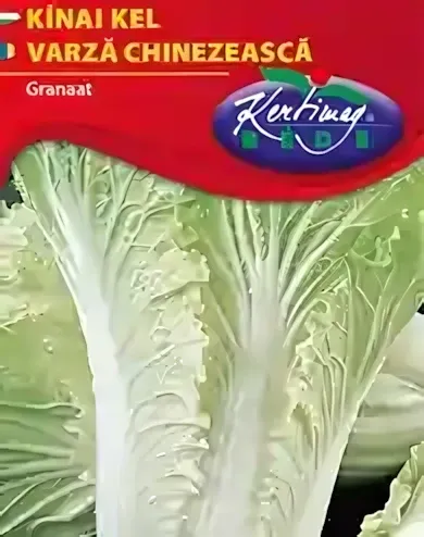 Granaat -Kínai kel vetőmag