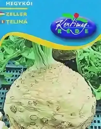 Hegykői - zeller vetőmag