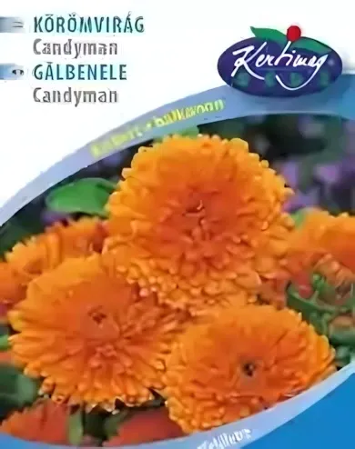 Körömvirág - Candyman, narancssárga virágmag