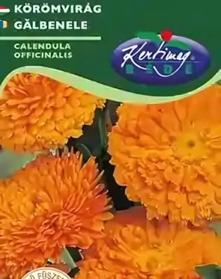 Körömvirág- virágmag