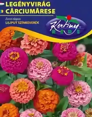 Legényvirág - Liliput színkeverék virágmag