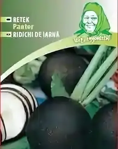 Panter- retek vetőmag