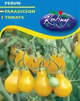 Perun - paradicsom vetőmag