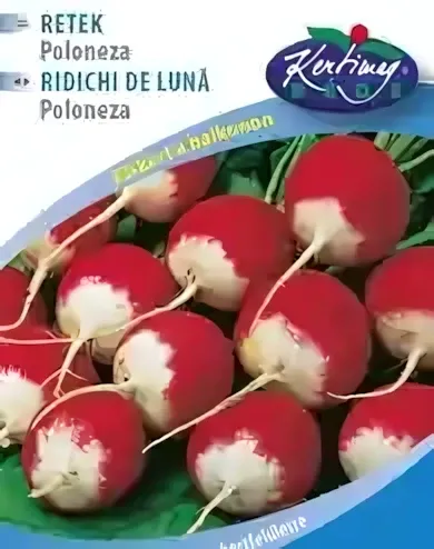 Poloneza - retek vetőmag