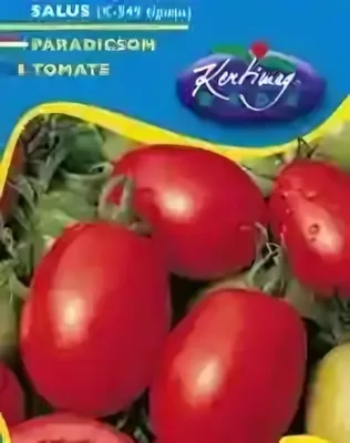 Salus K-549 típusú - paradicsom vetőmag