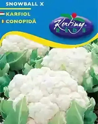 Snowball X- Karfiol vetőmag