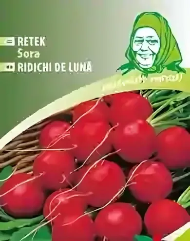 Sora - retek vetőmag