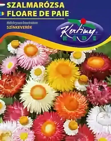 Szalmarózsa - színkeverék virágmag