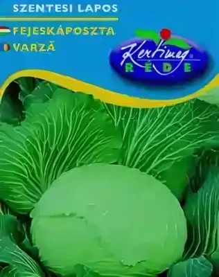 Szentesi lapos- fejeskáposzta vetőmag