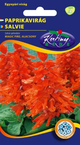 Paprikavirág virágmag - Magic Fire 0,5 g