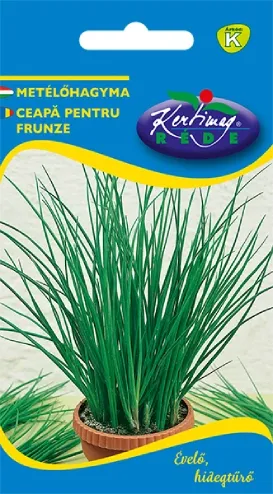 Metélőhagyma vetőmag - Bohemian 2 g