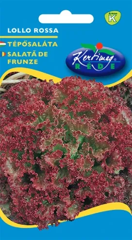 Tépősaláta vetőmag - Lollo Rosso 2 g